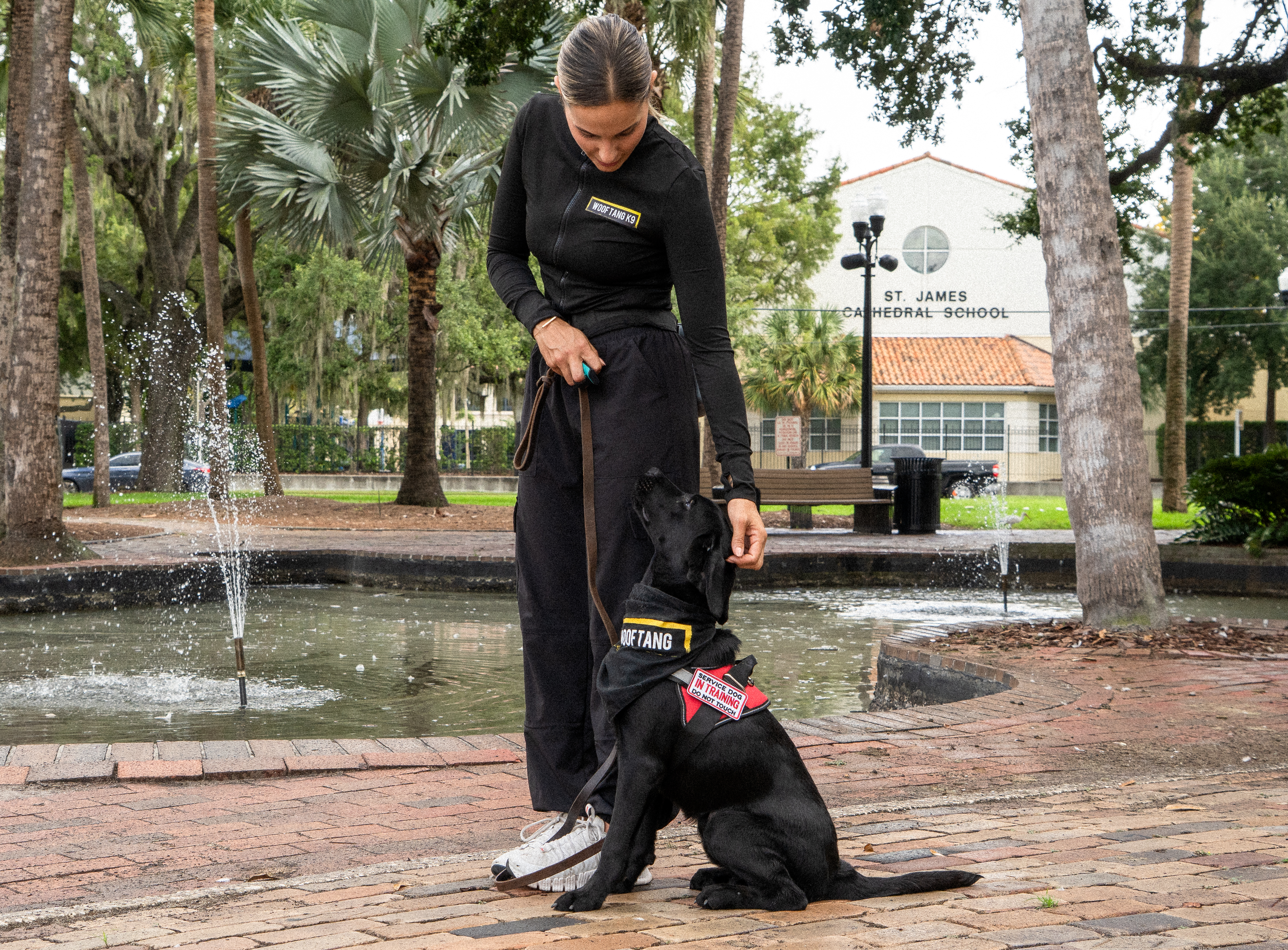 Woof Tang K9 trainer working with a service dog in training on focus and neutrality in downtown Orlando.