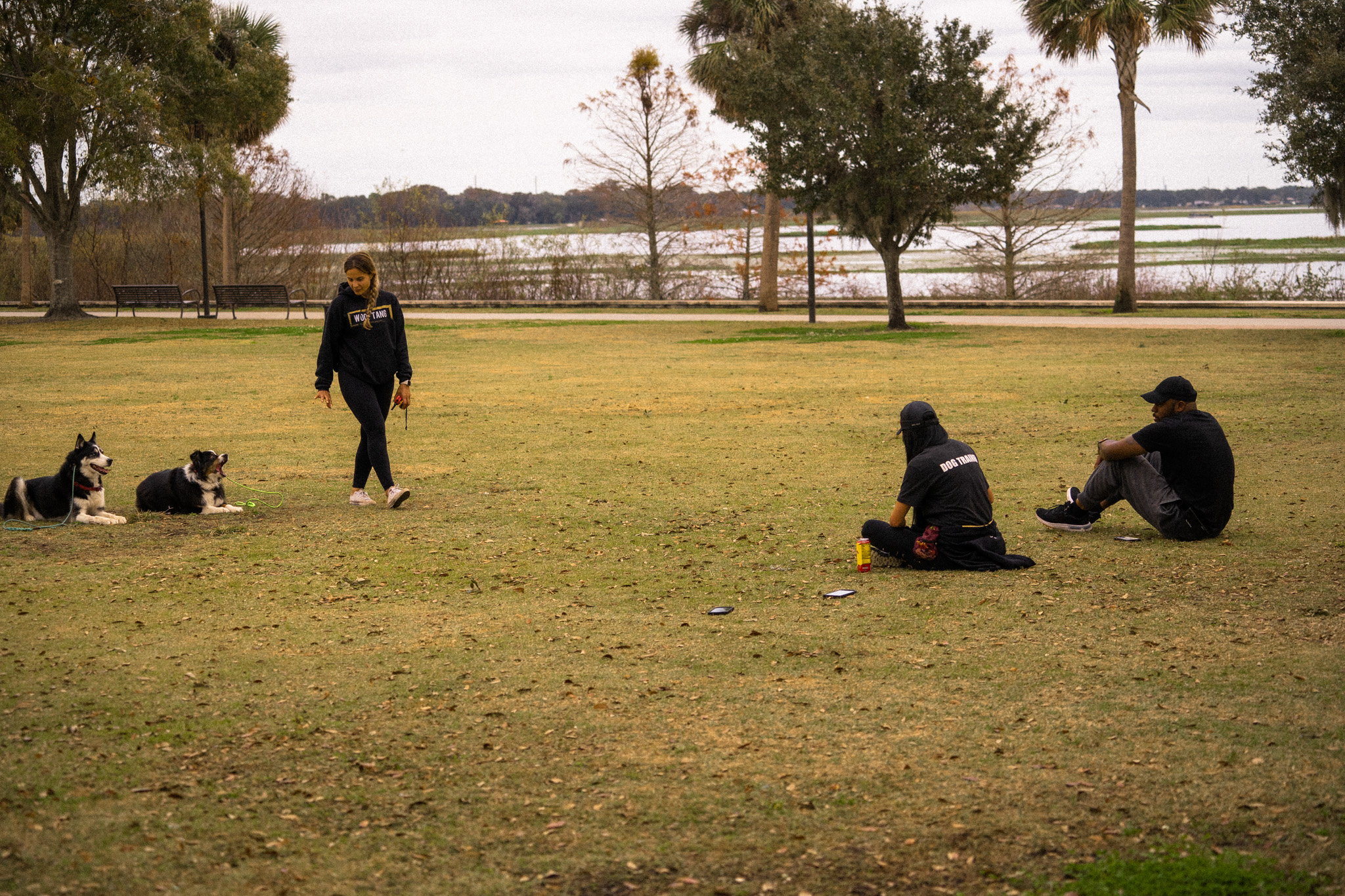 Woof Tang K9 trainer practicing obedience and neutrality with dogs during an outdoor group training session in Orlando, FL.