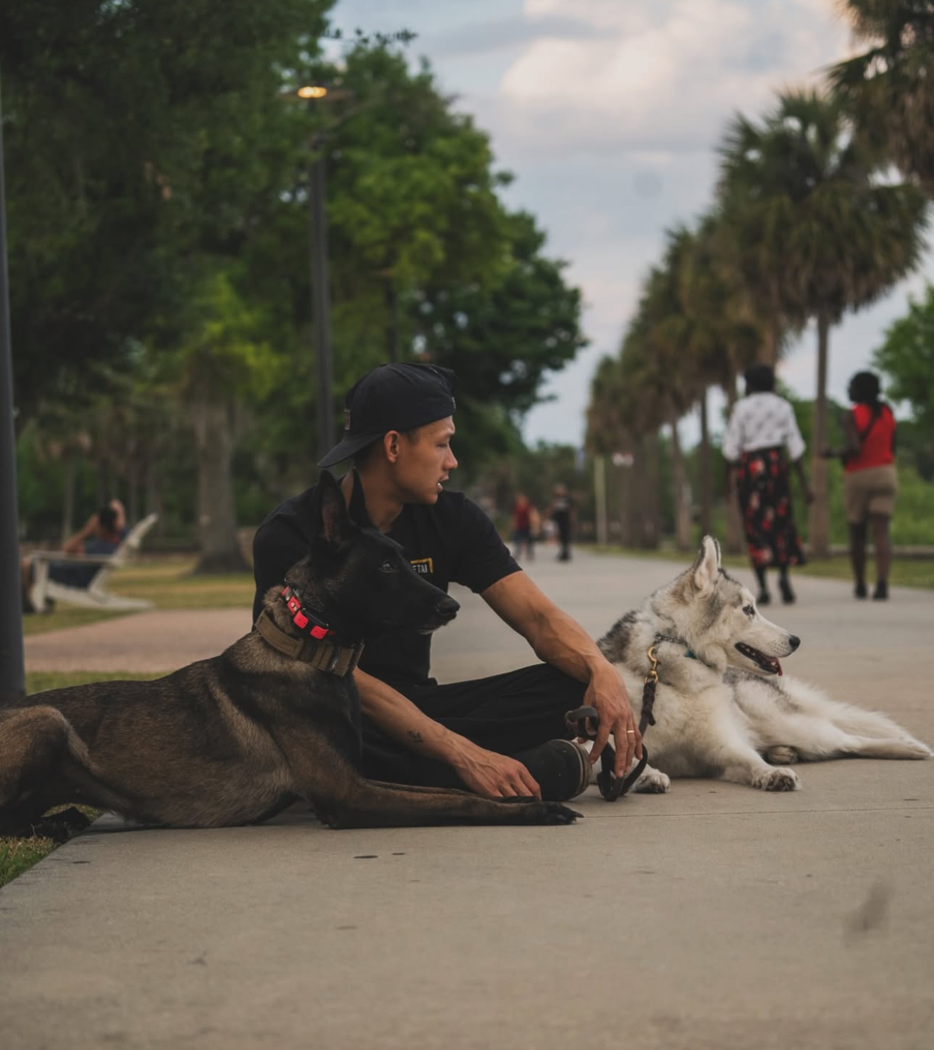 Dog trainer working with two dogs during public obedience training in Orlando, FL.